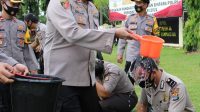 IMG-20210104-WA0040
