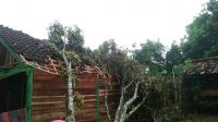 IMG-20210208-WA0098