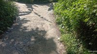 IMG-20210313-WA0193