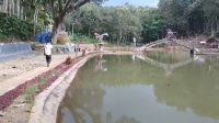 IMG-20210416-WA0003