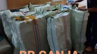 IMG-20210702-WA0008