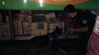 IMG-20220226-WA0008