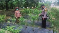 IMG-20221029-WA0016
