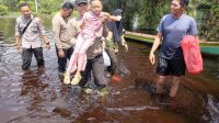 IMG-20221031-WA0016