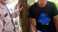 IMG-20221101-WA0003