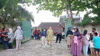 IMG-20221112-WA0031
