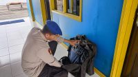 IMG-20221117-WA0014