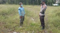 IMG-20221119-WA0020