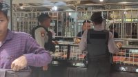 IMG-20221128-WA0010