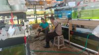 IMG-20221201-WA0034