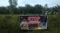 IMG-20221202-WA0008