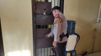 IMG-20221203-WA0014