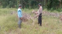 IMG-20221204-WA0021