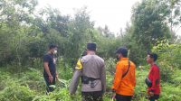 IMG-20221211-WA0005