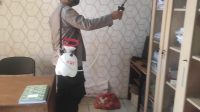 IMG-20221212-WA0006
