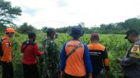 IMG-20221217-WA0008