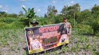 IMG-20221222-WA0040