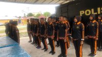 IMG-20221224-WA0031