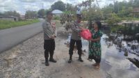 IMG-20221229-WA0003