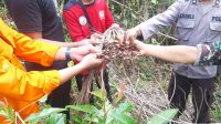 IMG-20230105-WA0008