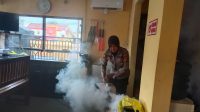 IMG-20230115-WA0008