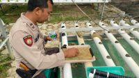 IMG-20230116-WA0024