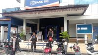 IMG-20230203-WA0019