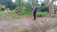 IMG-20230204-WA0008