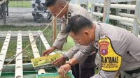 IMG-20230228-WA0017