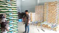 IMG-20230319-WA0018