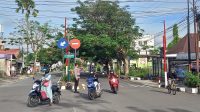 IMG-20230323-WA0013