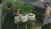 IMG-20230326-WA0020