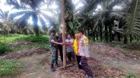 IMG-20230329-WA0030
