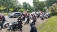 IMG-20241209-WA0043