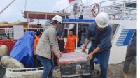 IMG-20260505-WA0011